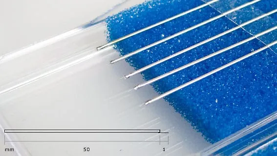 A set of fine tungsten PicoProbe needles resting on blue foam in a clear case, with a millimetre scale bar.
