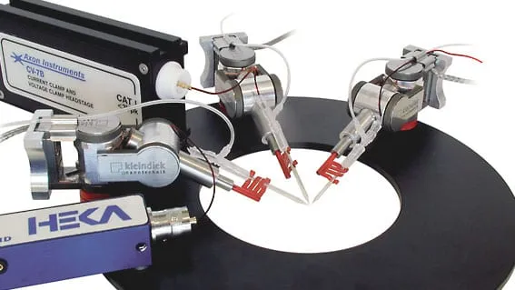 Two MM3A-LS manipulators wired to HEKA and Axon Instruments headstages, pipette tips meeting over a circular recording chamber.