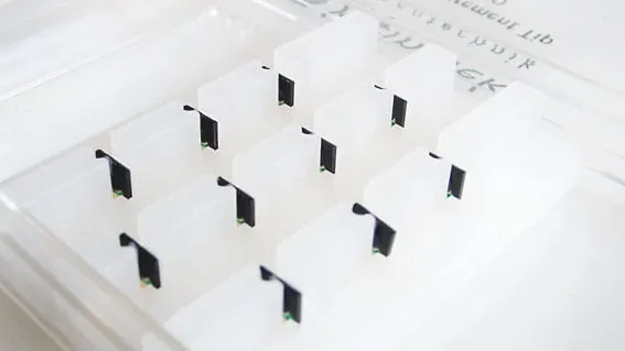 A clear tray holding a grid of force-measurement tips — small black PCB supports each carrying a fine cantilever sensor.