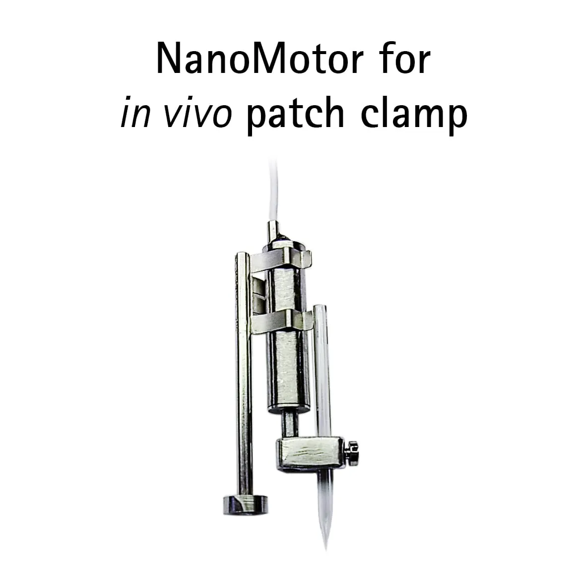 A compact in-vivo patch-clamp head-stage built around a single-axis Nanomotor.