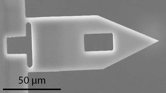 SEM close-up of an FMT-120 piezoresistive cantilever, showing the etched rectangular window that forms the strain-sensing leg.